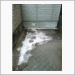 根雪になるかも