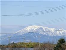 久しぶりの晴天です