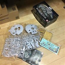 黄金時代の鷹(^^)/ 黄金時代の鷹(^^)/