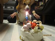 ベリー９歳。