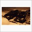 雪道でSTUDY&#215;STUDY