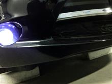 リーフ冬支度