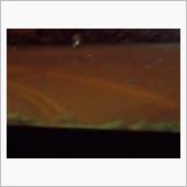 やっと吹雪いてきましたねぇ！ ...