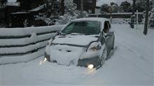 お久し振りの大雪 お久し振りの大雪