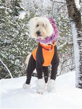 久しぶりのお出かけ・・雪遊びに行ってきました(*^_^*)