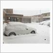 雪
