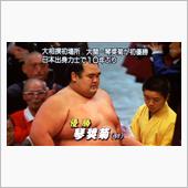 冬の両国に菊が満開