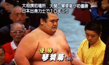 冬の両国に菊が満開