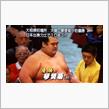 冬の両国に菊が満開