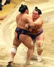 10年ぶり、ようやく日本人力士優勝！！