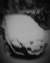 積もったね