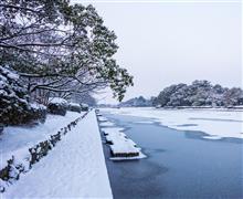 今朝のスナップ--寒波襲来。