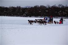 犬ぞりレースを見てきました！