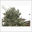 積雪してるけど太陽も顔出し