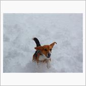 雪、あれこれ