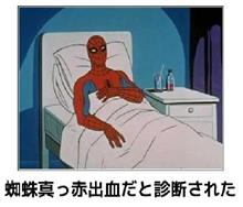 エキゾーストベンチレーションシステム？　ε=ε=(ง ˙ω˙)งﾌﾞｯ　。。　ダイエット２年と300日目
