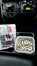 車内のおやつ！極めたエス太！