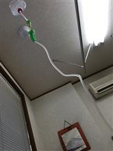 こんなはずでは