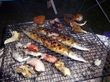 秋刀魚を焼きました!!