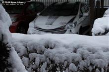 2016.01.29.－30.　雪　＾＾♪　