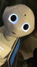 裸木とロボット