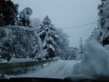 ハマッ子のくせに雪ん子とは、これいかに ハマッ子のくせに雪ん子とは、これいかに