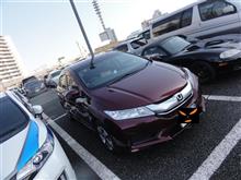 コミトレ後わふドリ……ミ