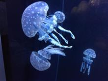 こんな日もあるのよね〜…