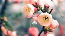 【スタンド　スプリング】　一年のはじまり　【ありがとう立春！】