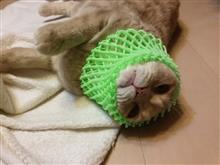 目が覚めるww