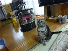 こうちゃんもダイエットしなさい！
