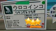 よんれんきゅ☆