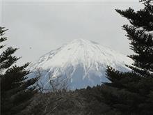 遅い出発の静岡ドライブ　（奇石博物館）