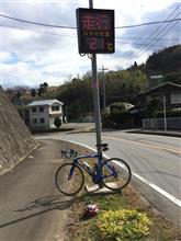 ポタリング