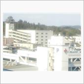 東側の弁当はよりなにたばらり