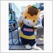 続々、　「　みんカラ　」　定期便　　～　　♪