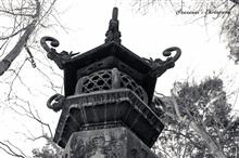 静嘉堂文庫美術館 静嘉堂文庫美術館