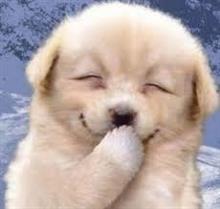 似たもの　　どおし　　～　　♪