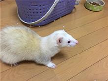 絶賛‼️宿直中‼️…