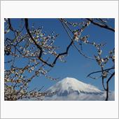 岩本山公園の梅と周辺散策