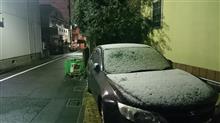 雪だったのね～ヽ(^。^)ノアリャアリャ