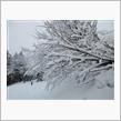 トンネルを抜けると、そこは雪国だった！