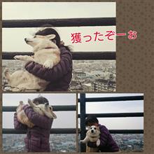 生け捕れました。 生け捕れました。