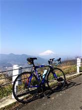 松田山サイクリング