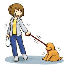 犬の散歩が苦痛なだと思う方に必見！
