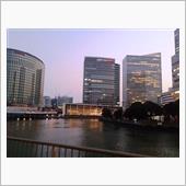 黄色粉がフワフワ・・・そして ...