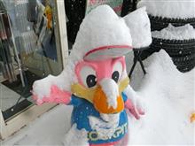 北海道は大雪です