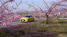 DS3で行く山梨桜と桃花堪能ドライブ2014 DS3で行く山梨桜と桃花堪能ドライブ2014