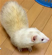 え〜っと…