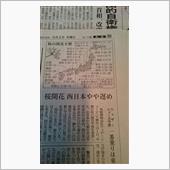 ひな祭り